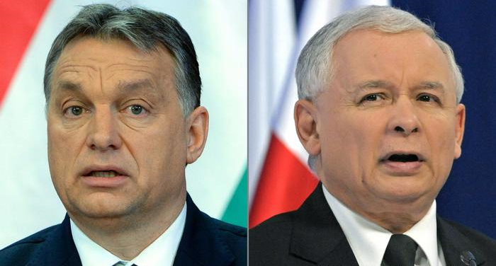 Autorytarne zagrożenia ze strony PiS i Fidesz
