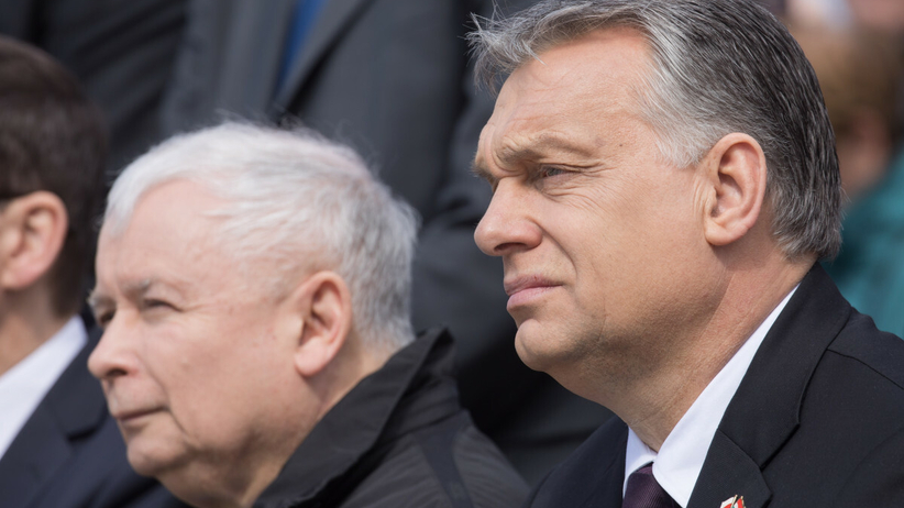 Koniec sojuszu Polski z Węgrami Orbana? "Przepaść polityczna"