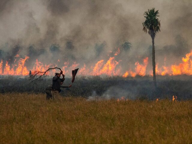 Pożar w Argentynie. Miliony osób bez prądu
