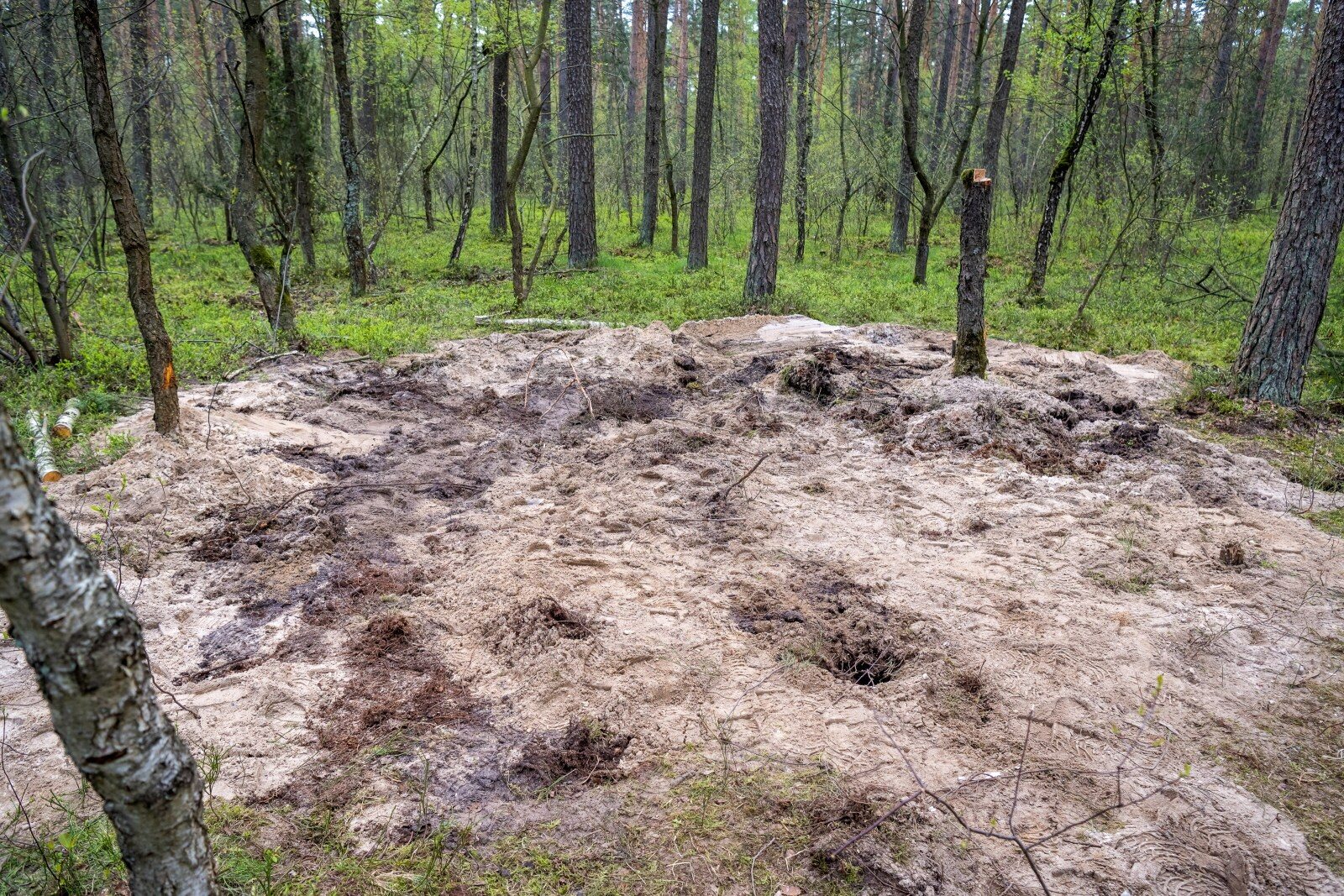 Dowództwo zabrało głos ws. obiektu pod Bydgoszczą. „Sytuacja nacechowana ryzykiem”