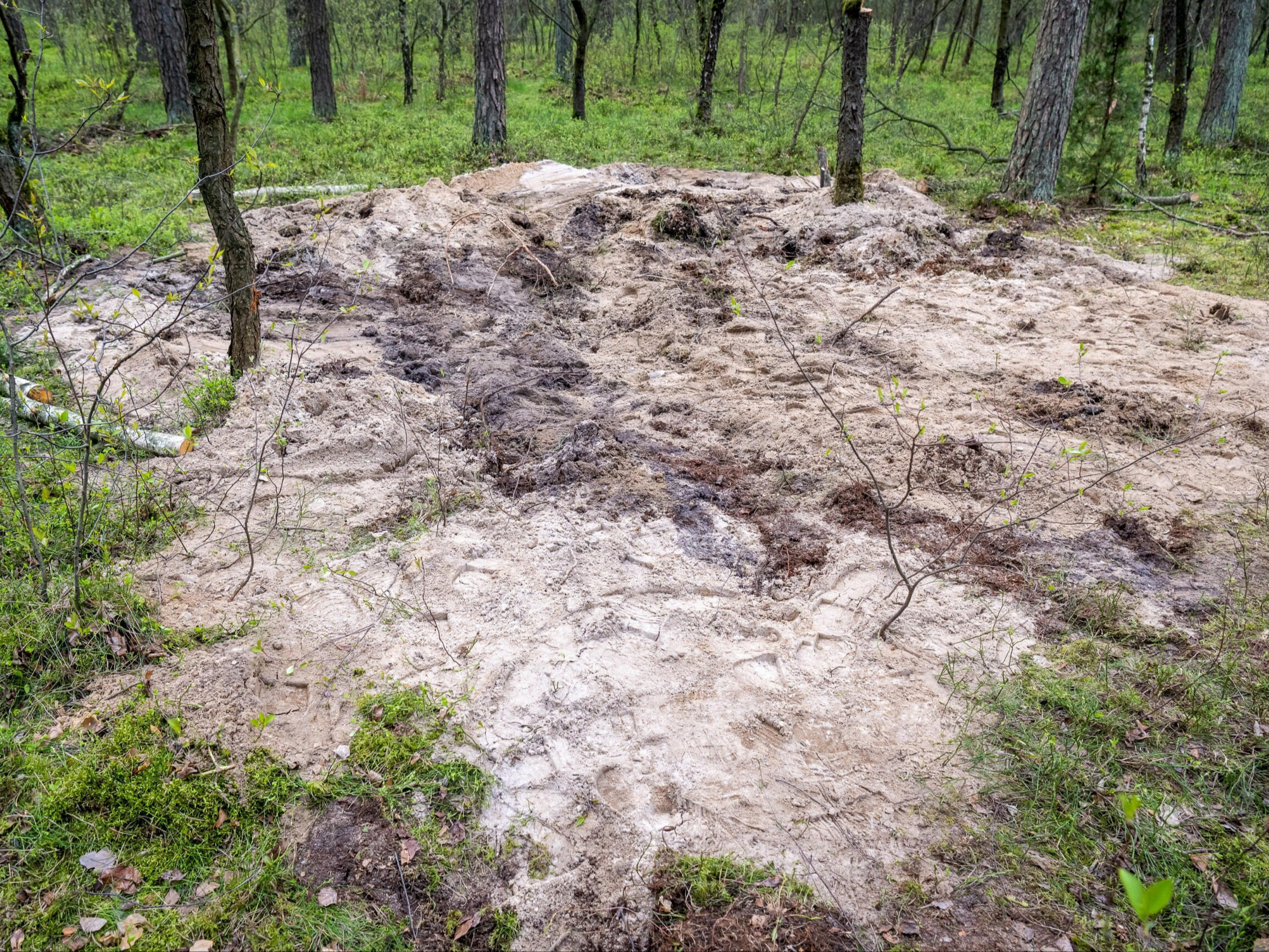 Nieoficjalnie: Pod Bydgoszczą spadła rosyjska rakieta. Podano jej specyfikację