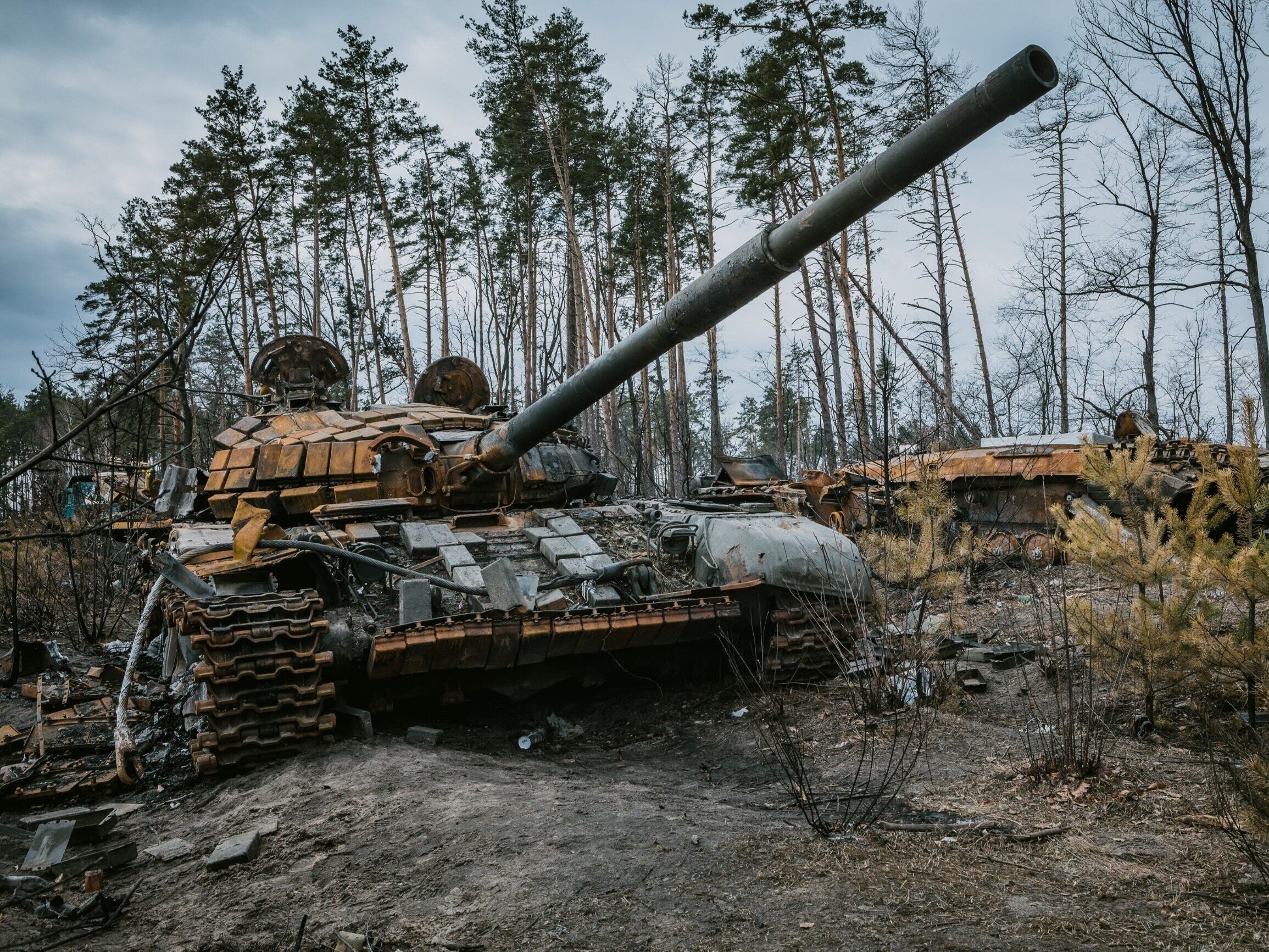 Rosyjska propaganda „ujawnia” nową broń Ukraińców. „Hodowla owadów bojowych”