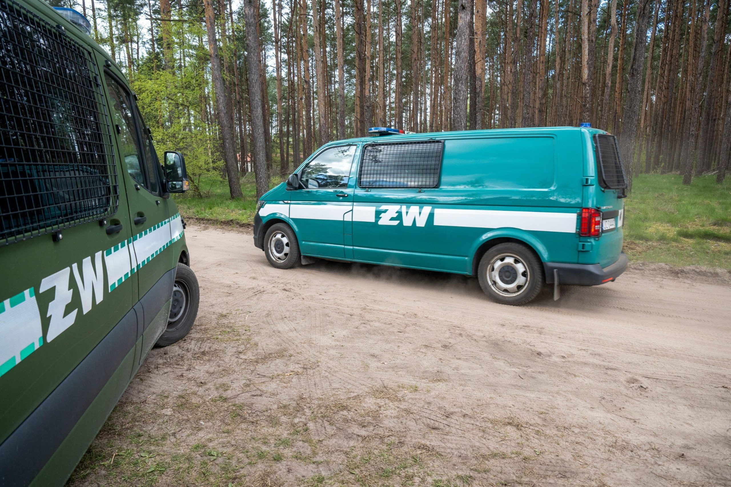 Wybuch pod Radomiem. Rzecznik rządu: W takich sytuacjach reagujemy