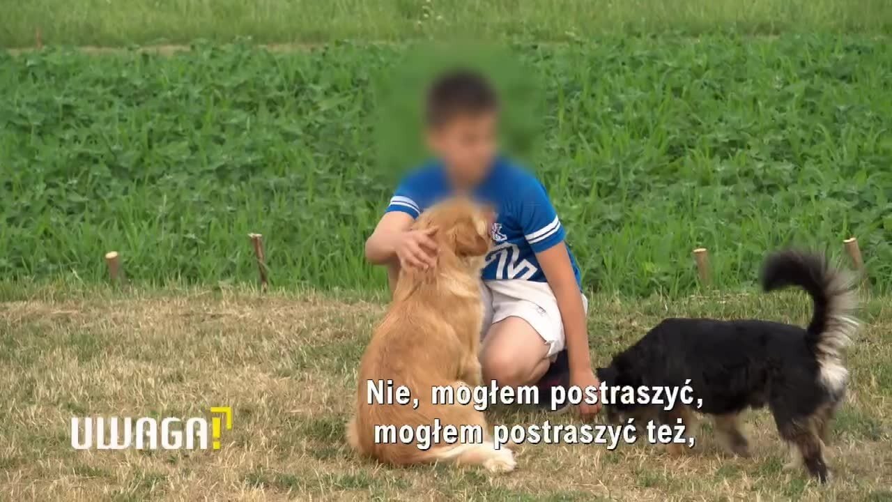 Uwaga! TVN: Zgotował piekło swoim dzieciom. „Tata pije i podnosi na nas rękę”