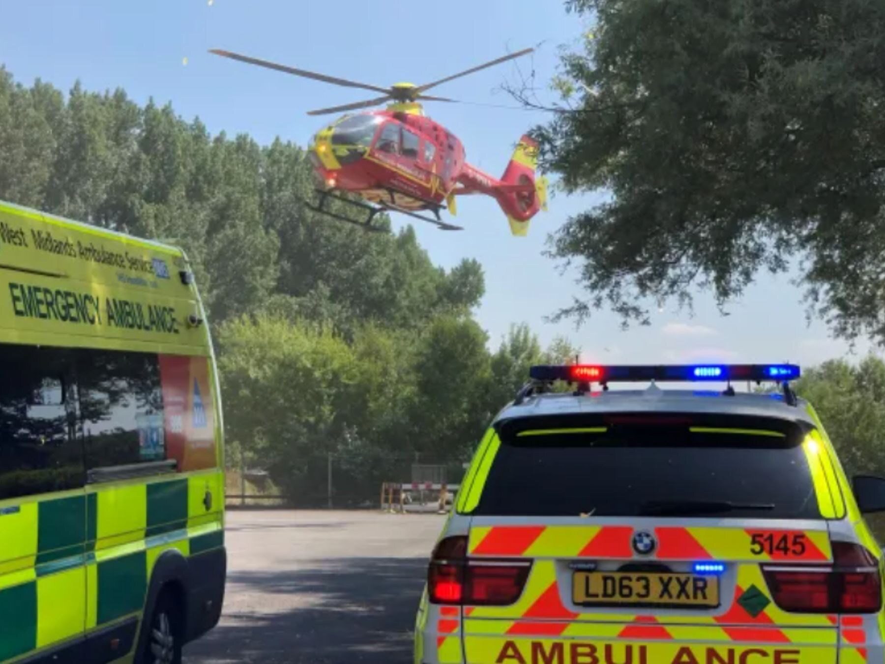 Brutalny atak dwóch psów w Wielkiej Brytanii. Pogryziony mężczyzna zmarł