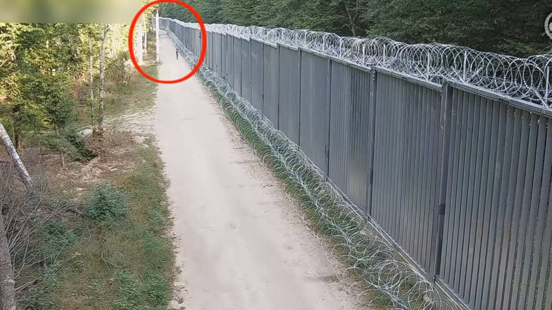 Migranci nacierali na granicę Polski, nagle nastąpił zwrot. „Rzucano tlącymi się gałęziami”