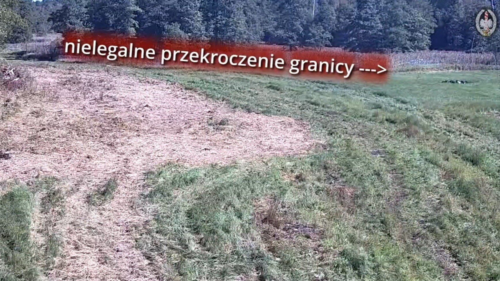 Migranci starali się sforsować granicę. SG pokazała nagranie