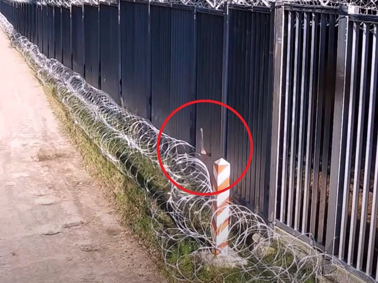 Nietypowe zachowanie migrantów na granicy. Wszystko zarejestrował monitoring Nietypowe zachowanie migrantów na granicy. Wszystko zarejestrował monitoring