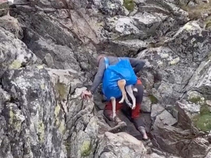 Turysta zabrał na wspinaczkę… psa w torbie. Zaskakujący widok w Tatrach