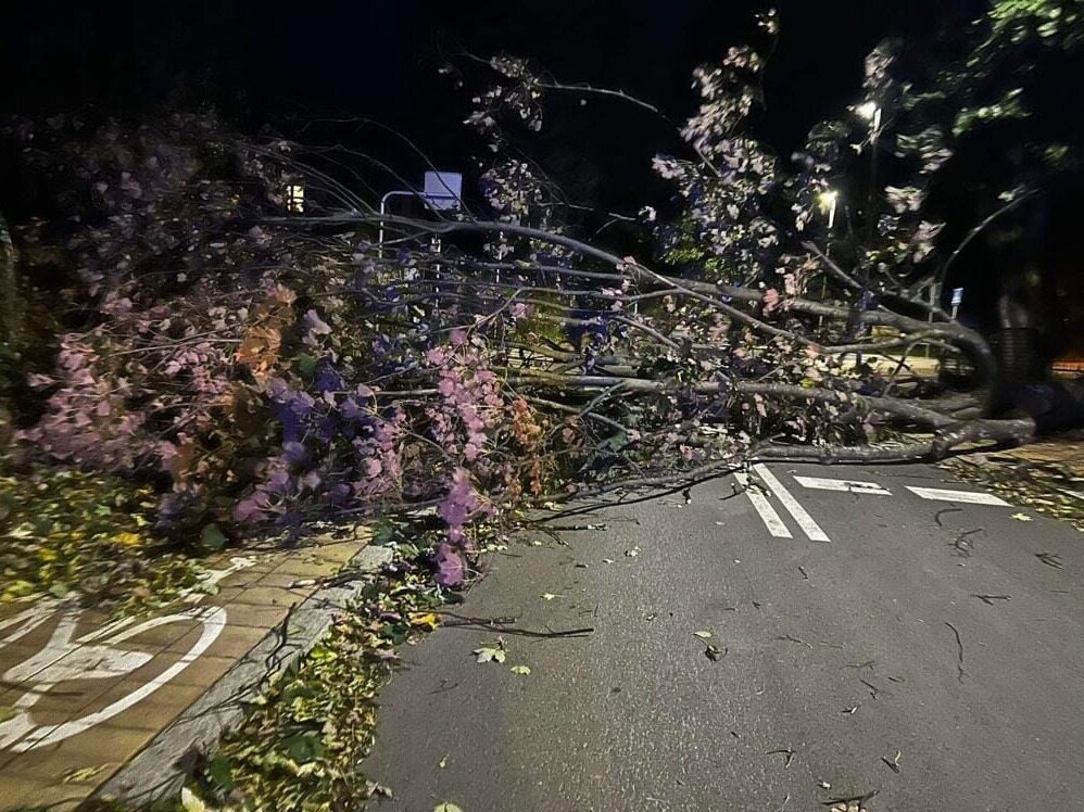 Niebezpieczna pogoda w Tatrach. Drzewo spadło na tory kolejki na Gubałówkę