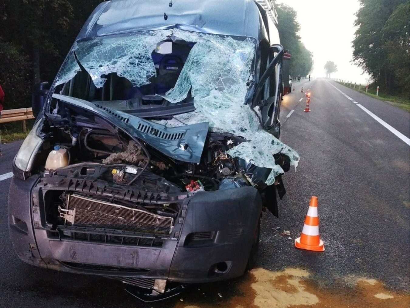 Zderzenie z łosiem na drodze krajowej nr 2. Przód auta zmiażdżony, jedna osoba ranna