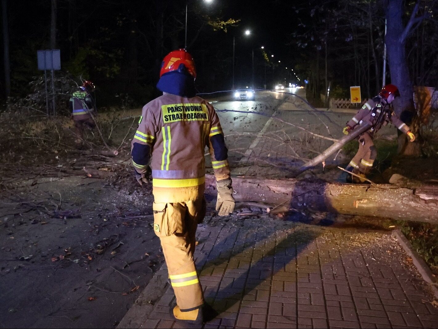 Orkan Ciaran nad Polską. RCB wydaje alerty. „Możliwe przerwy w dostawie prądu”