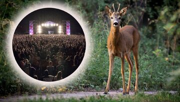 Kontrowersyjny festiwal w nowej lokalizacji. Trzaskowski nie wydał zgody