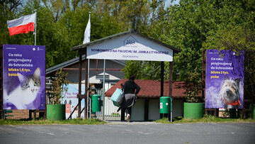 Wśród wolontariuszy Schroniska na Paluchu wrze. Wszyscy mieli dostać wypowiedzenia Wśród wolontariuszy Schroniska na Paluchu wrze. Wszyscy mieli dostać wypowiedzenia