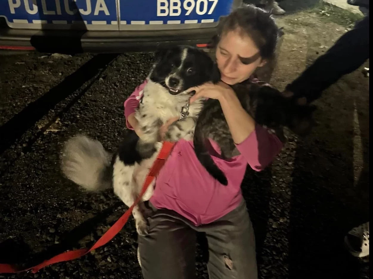 Dramat zwierząt w Jaworze. Brodziły w odchodach, uratowali je sąsiedzi