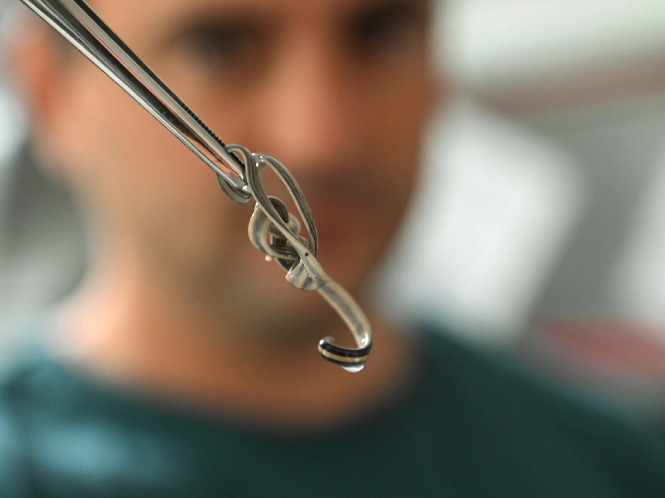 Inwazja nowego gatunku. Amaga pseudobama pod obserwacją naukowców Inwazja nowego gatunku. Amaga pseudobama pod obserwacją naukowców