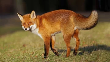 Mieszkańcy Mazowsza muszą uważać. Podano powód