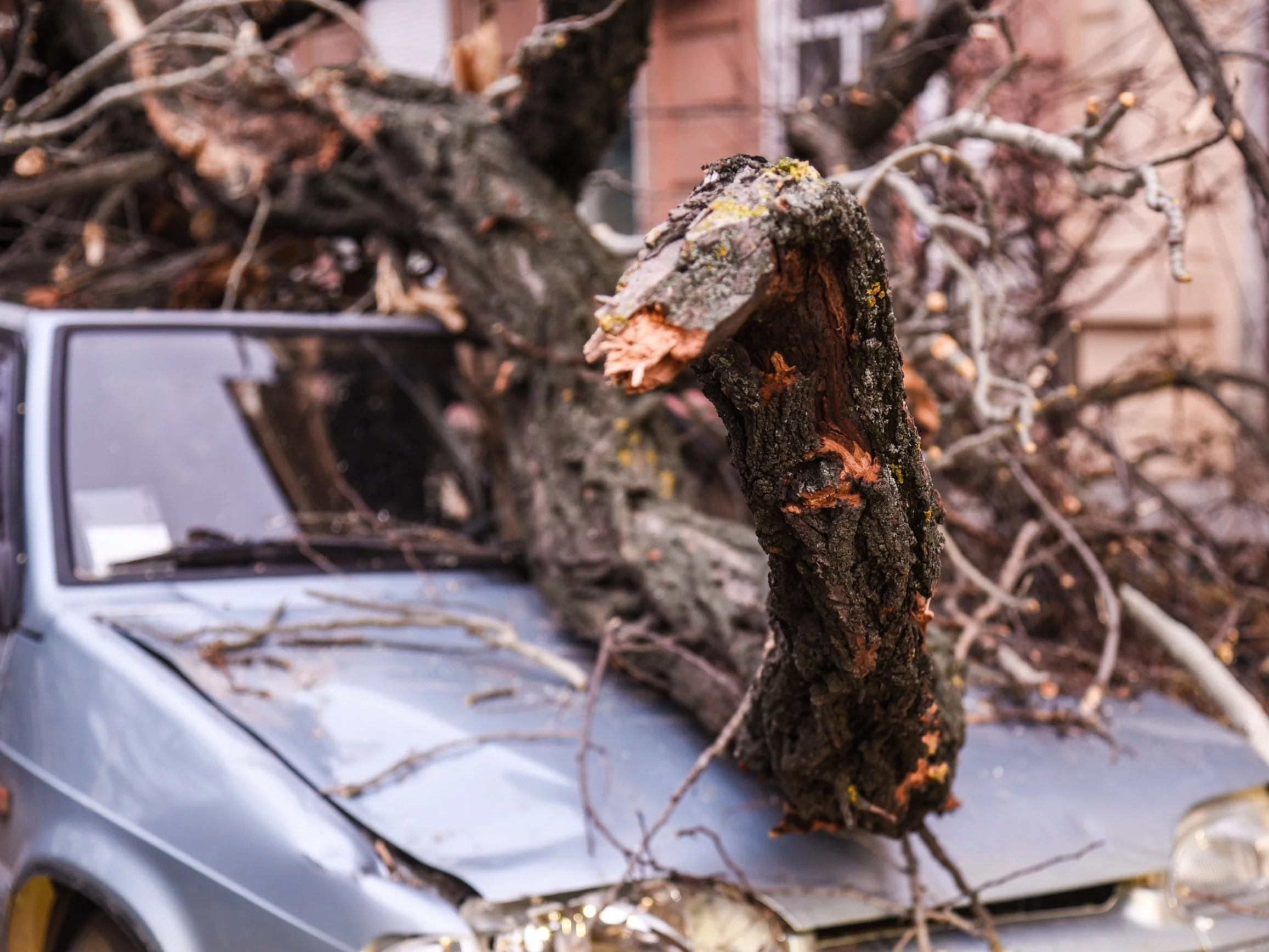 RCB wydało alert dla trzech województw. „Możliwe przerwy w dostawie prądu”
