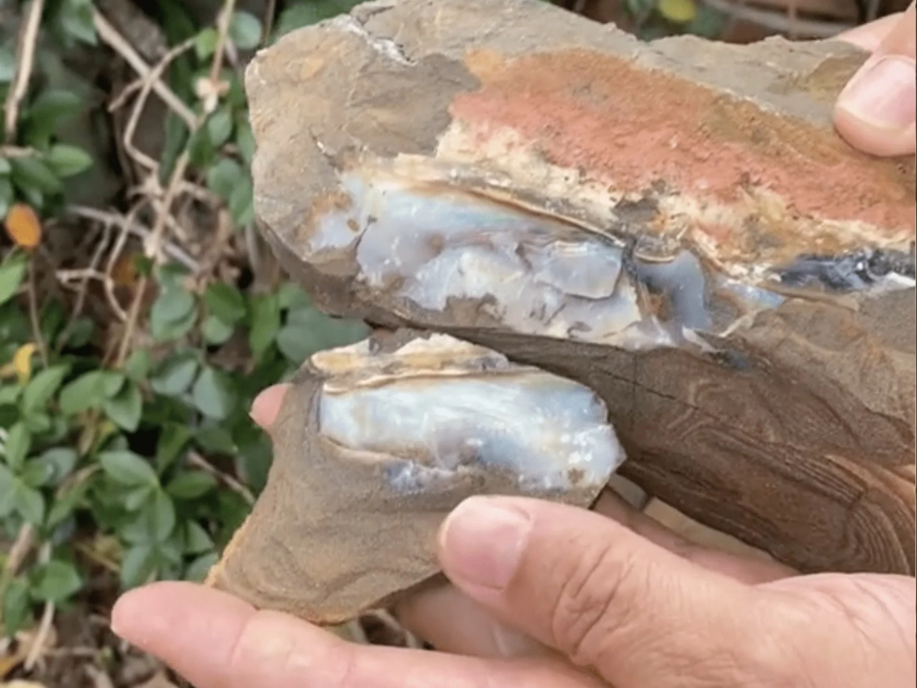 Znalazł skarb we własnym ogrodzie. Jest wart fortunę Znalazł skarb we własnym ogrodzie. Jest wart fortunę