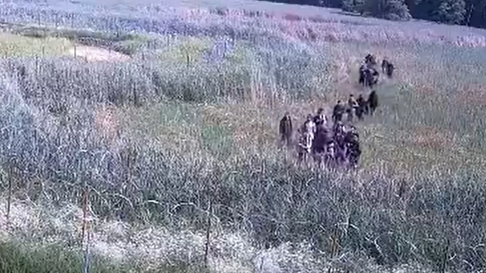 Migranci napierają na zaporę graniczną. „Ataki na strażników są codziennością”