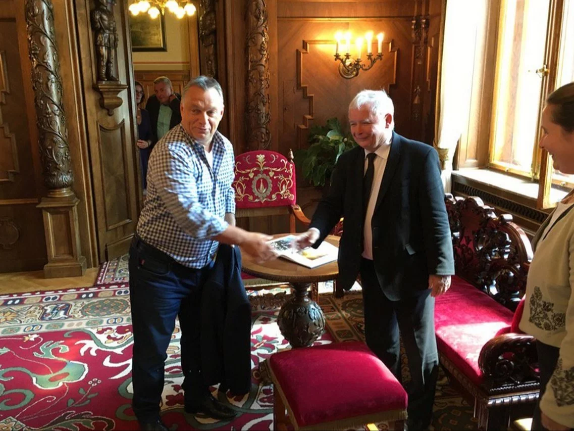 PiS poprzez węgierskich inwestorów chce odbić TVN? „Nic bez zgody Orbana”