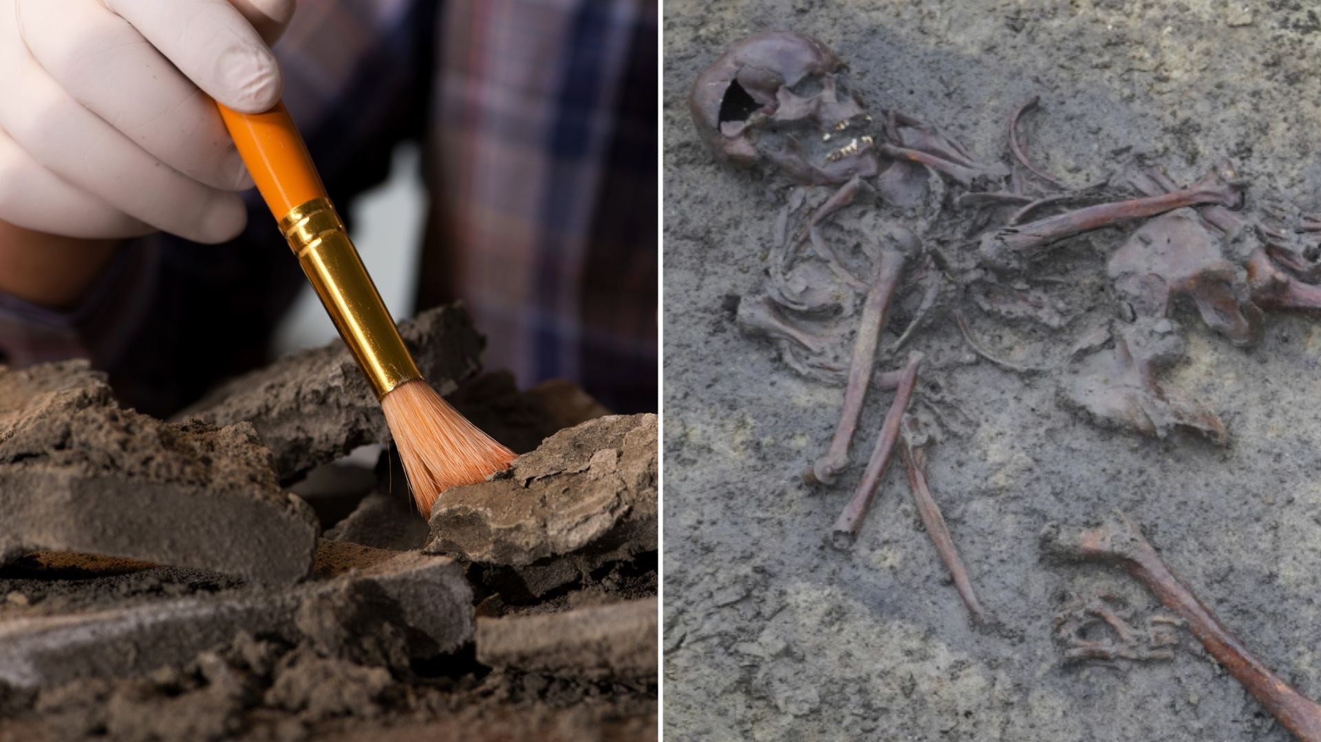 Przełomowe odkrycie archeologów. Trafili na doskonale zachowane szkielety wikingów Przełomowe odkrycie archeologów. Trafili na doskonale zachowane szkielety wikingów