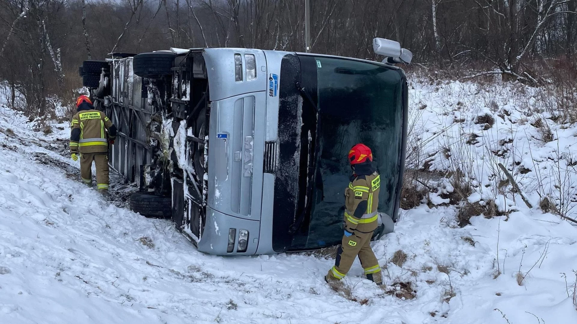 Autokar wylądował w rowie. 18 osób rannych w wypadku na Podkarpaciu Autokar wylądował w rowie. 18 osób rannych w wypadku na Podkarpaciu