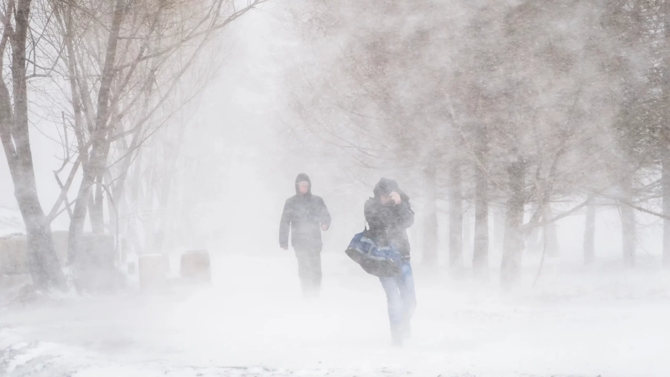 Dziś zaczyna się zima meteorologiczna. Jakie są prognozy?