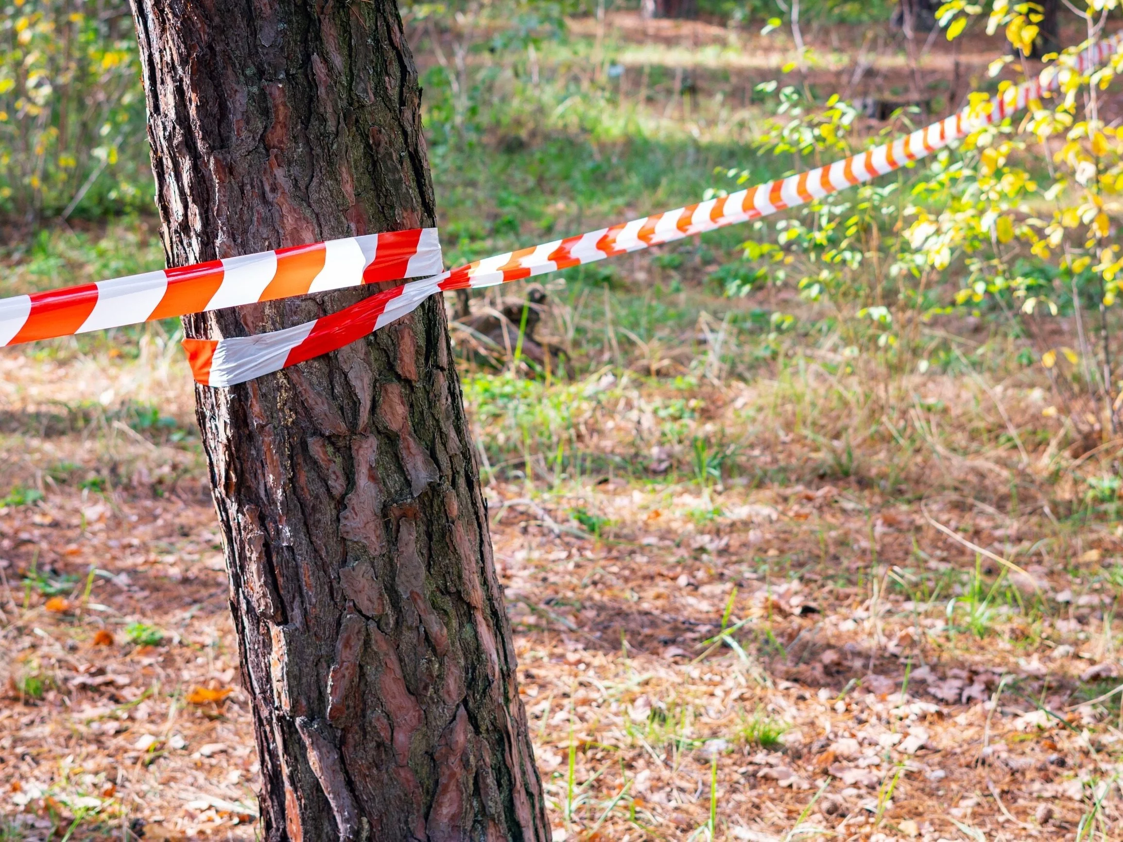 Poszukiwania na ogromną skalę zakończone tragedią. Znaleziono ciało