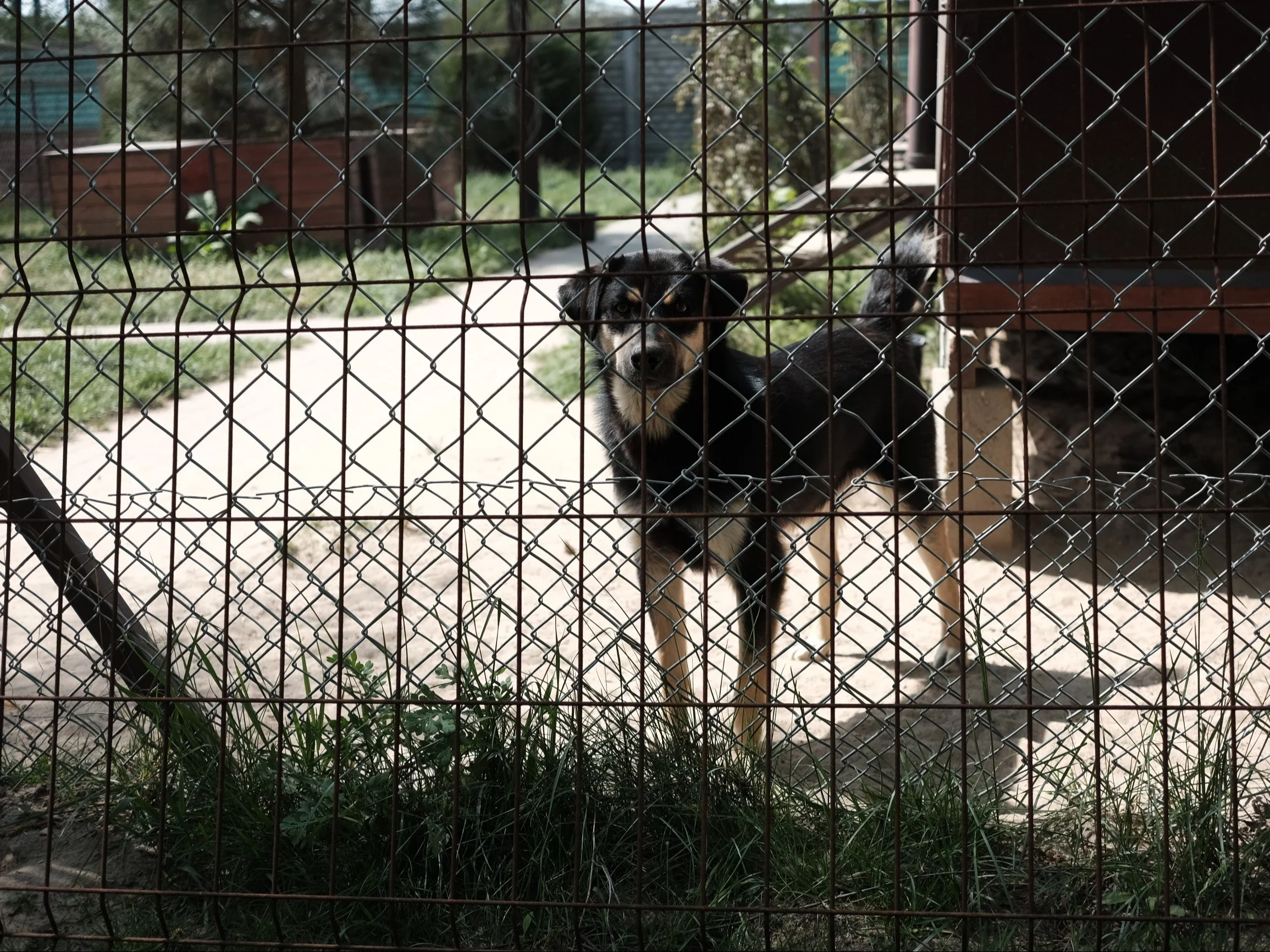 Przychody liczą w milionach, ale na ZUS ogłosili zbiórkę. Tak tłumaczy się DIOZ Przychody liczą w milionach, ale na ZUS ogłosili zbiórkę. Tak tłumaczy się DIOZ