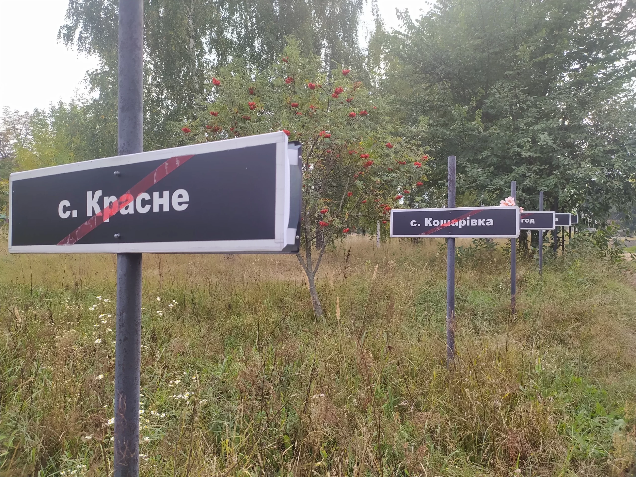 Czarnobyl znów może karmić ludzi? Naukowcy zadziwiają wynikami badań Czarnobyl znów może karmić ludzi? Naukowcy zadziwiają wynikami badań