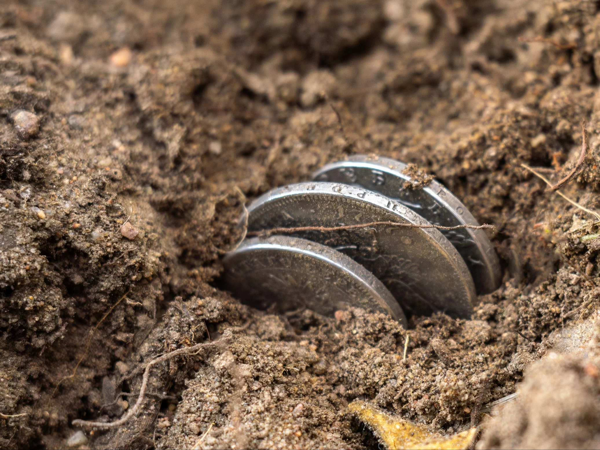 Szukali drogi, znaleźli skarb. Tyle jest wart Szukali drogi, znaleźli skarb. Tyle jest wart