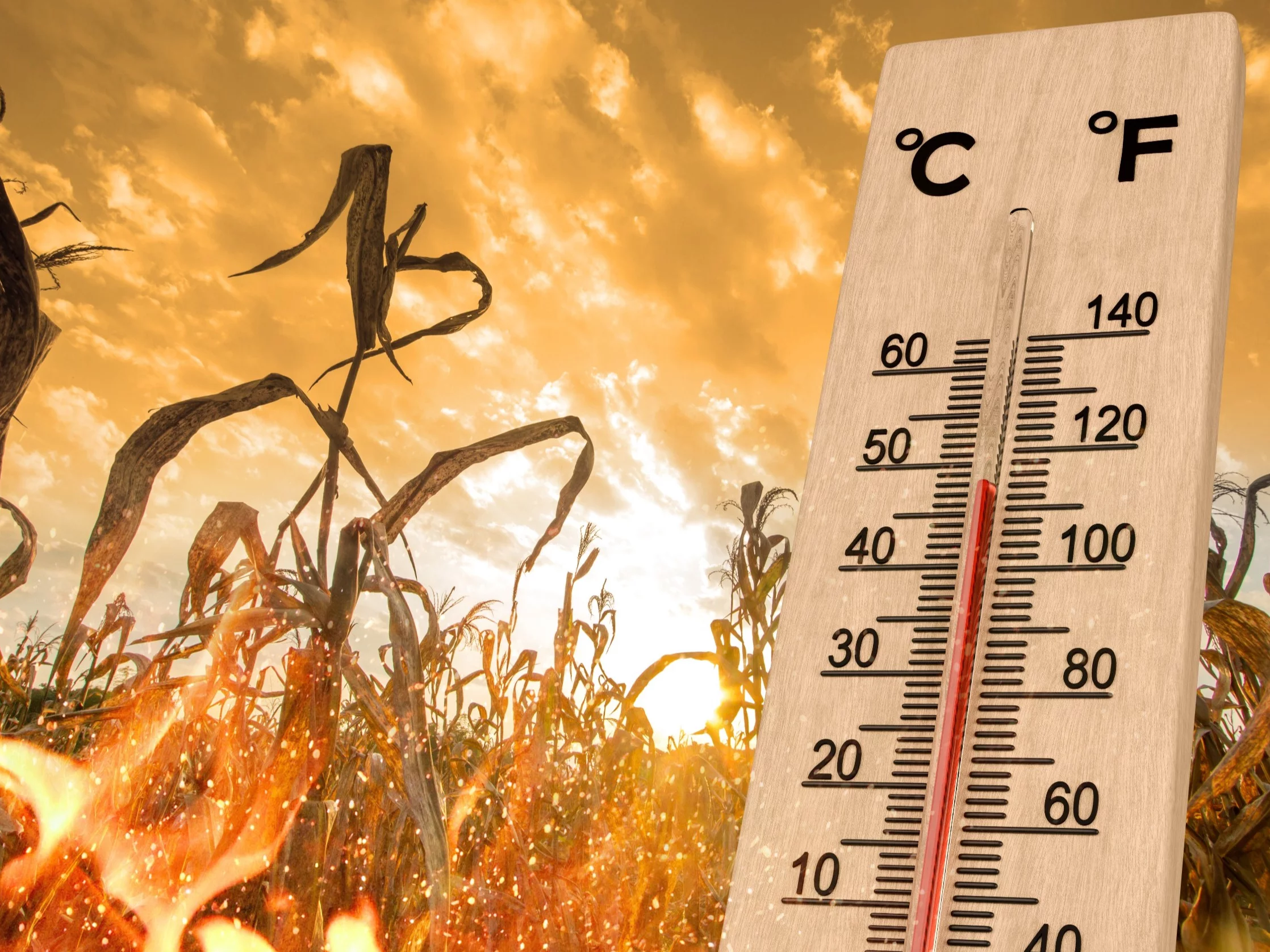 Koniec lata w Polsce? Meteorolodzy nie mają dobrych wieści