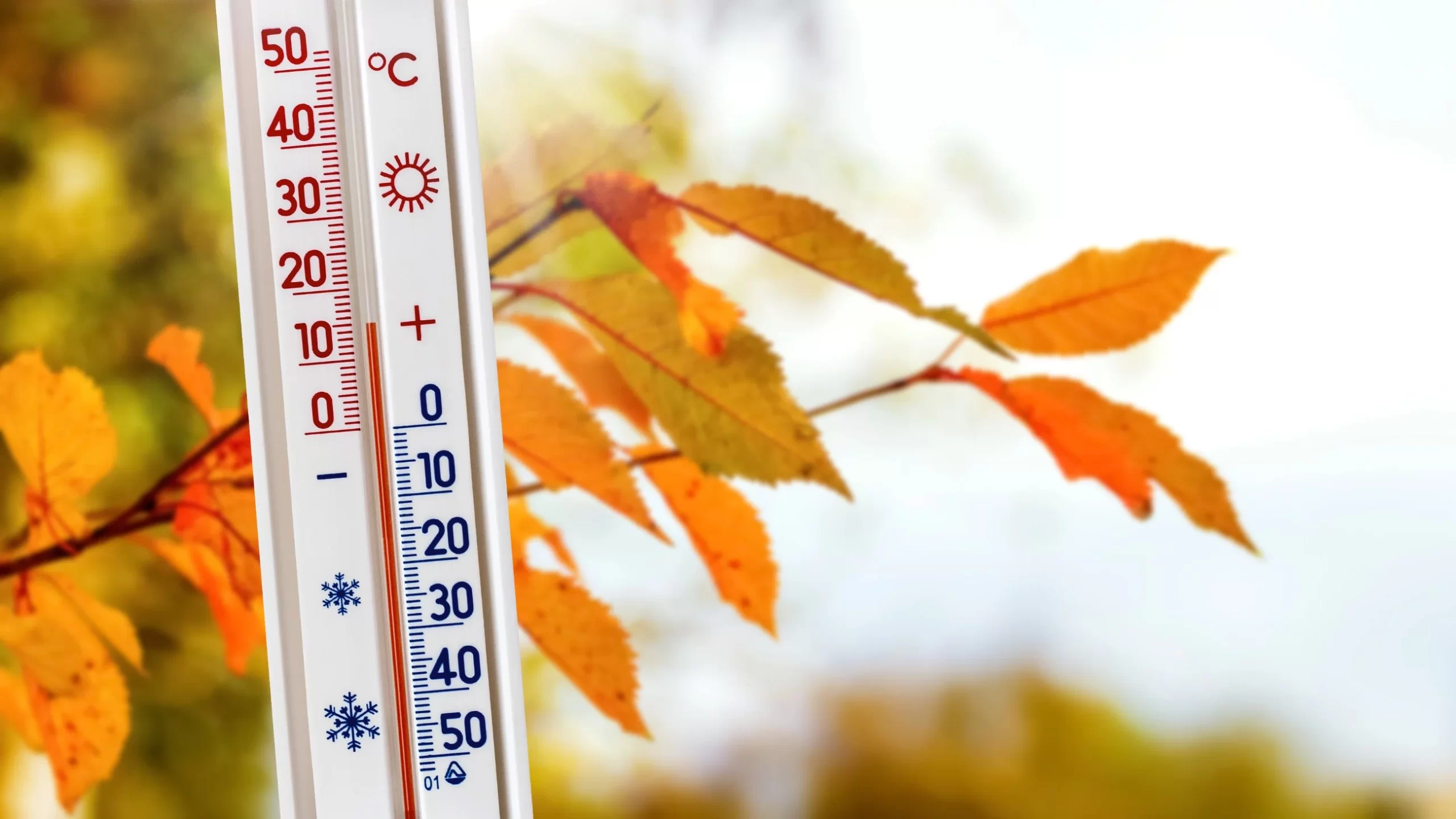 Tak będzie wyglądać jesień w Polsce. Meteorolodzy nie mają złudzeń