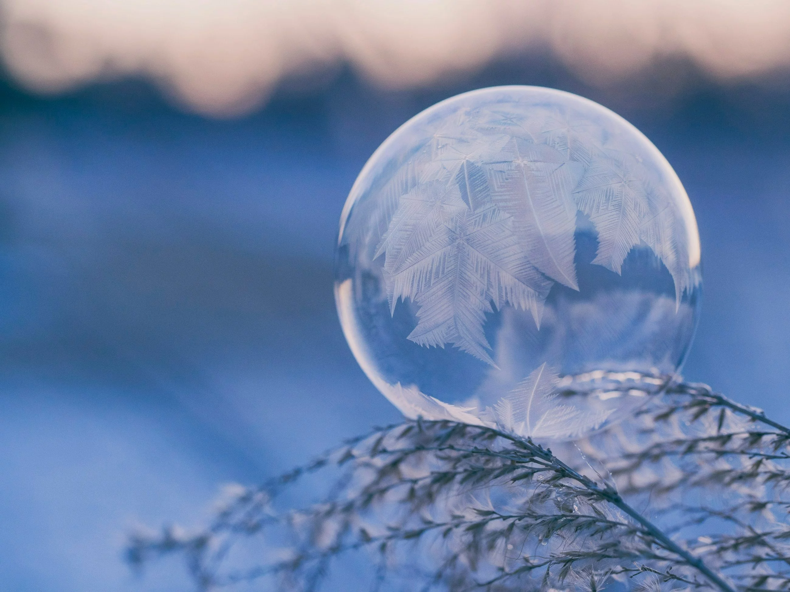 Taka będzie zima w Polsce. Na to zwracają uwagę nie tylko meteorolodzy. „Wielka anomalia”