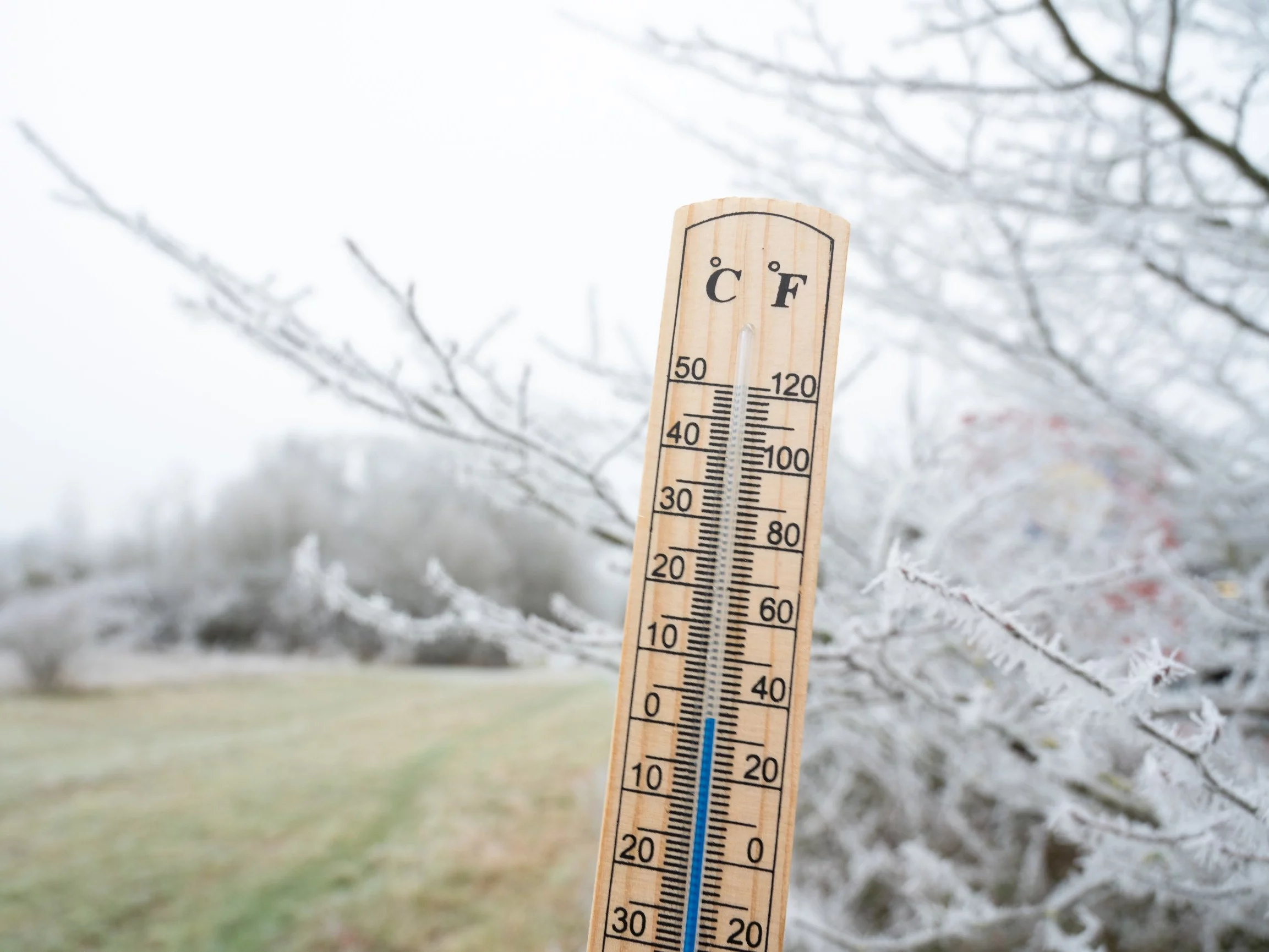 Pierwsze przymrozki w Polsce. Meteorolodzy nie mają dobrych wieści Pierwsze przymrozki w Polsce. Meteorolodzy nie mają dobrych wieści