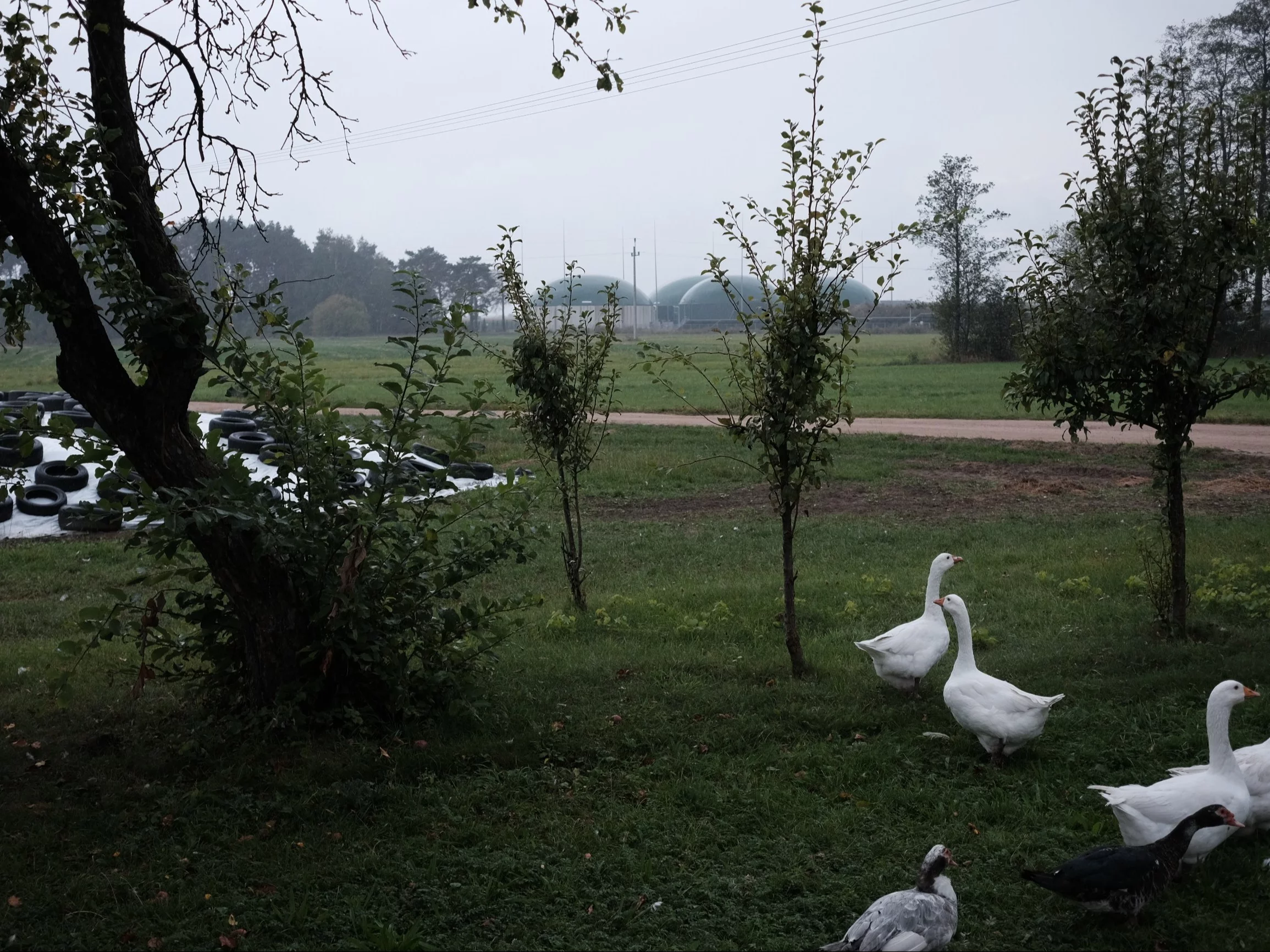 Politycy chcą budować, inwestorzy zarabiać, a mieszkańcy się buntują. „Dla nas jest tylko smród”