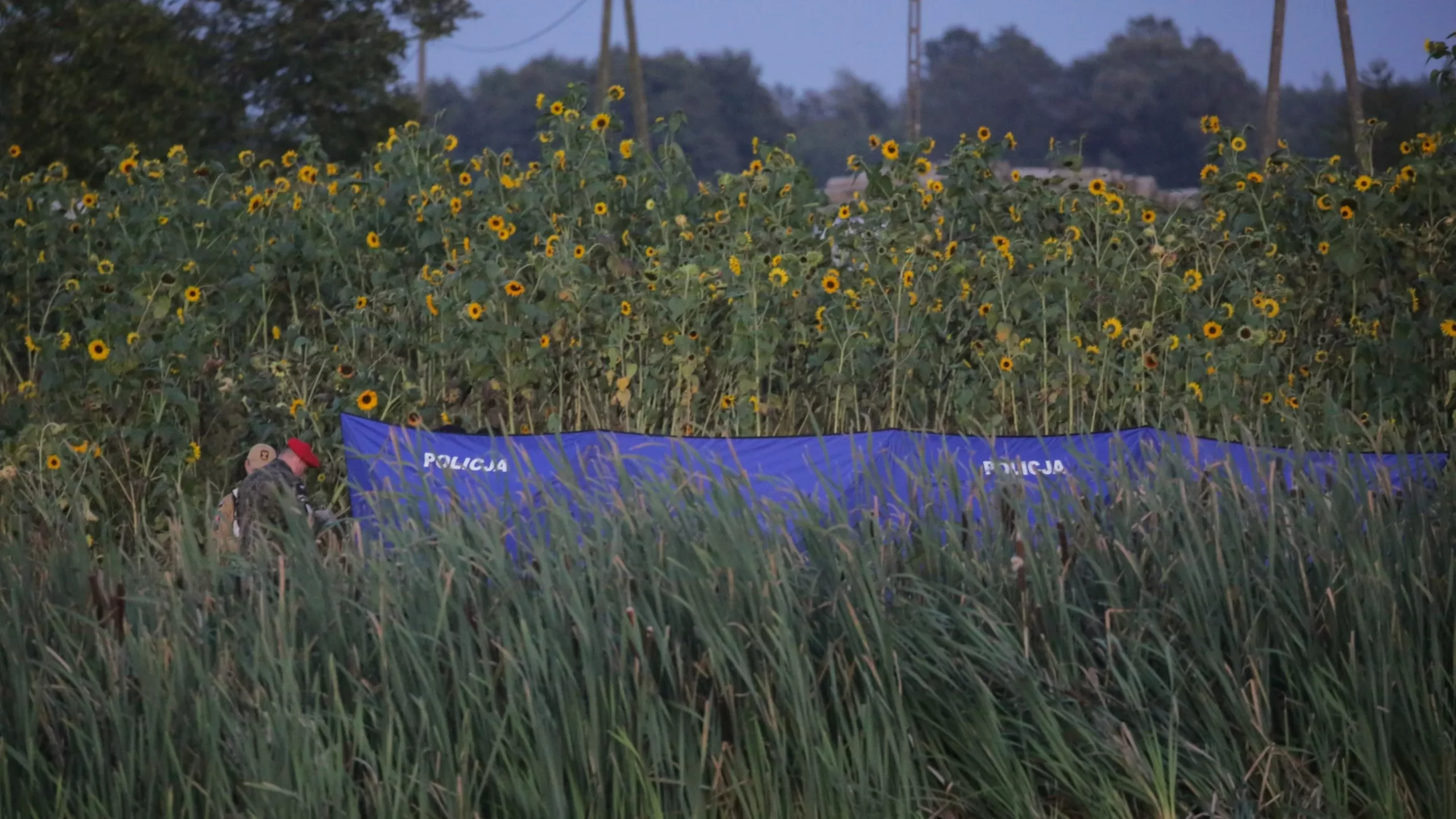 Szczątki trzech kolejnych dronów znalezione w Polsce? Pilne komunikaty policji