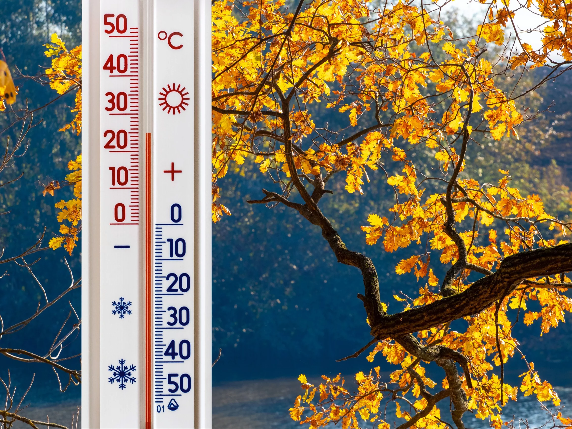 Taki będzie październik w Polsce. Meteorolodzy już wiedzą