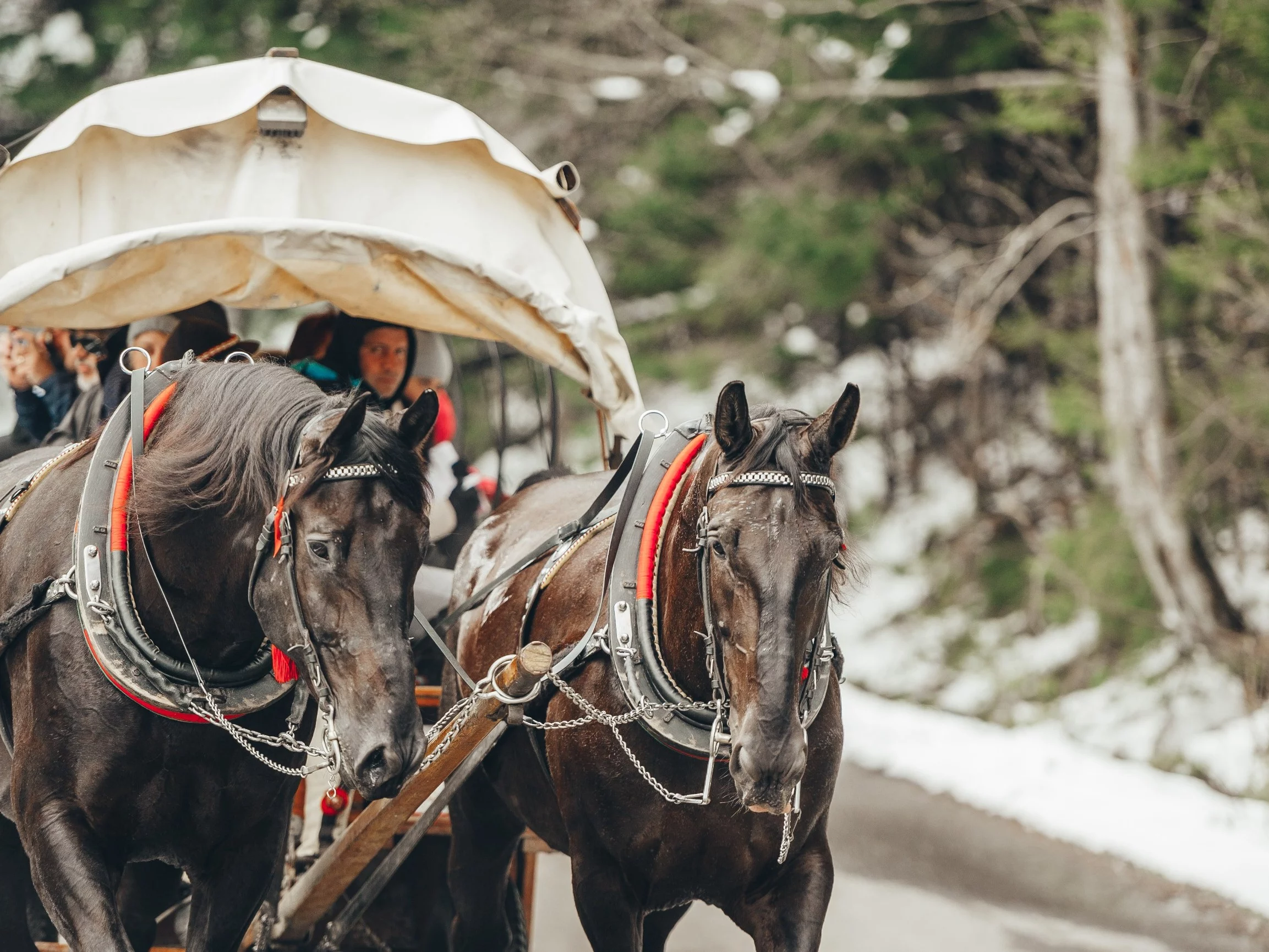 Burza po nagraniu z Tatr. „Smutny obraz naszych czasów” Burza po nagraniu z Tatr. „Smutny obraz naszych czasów”