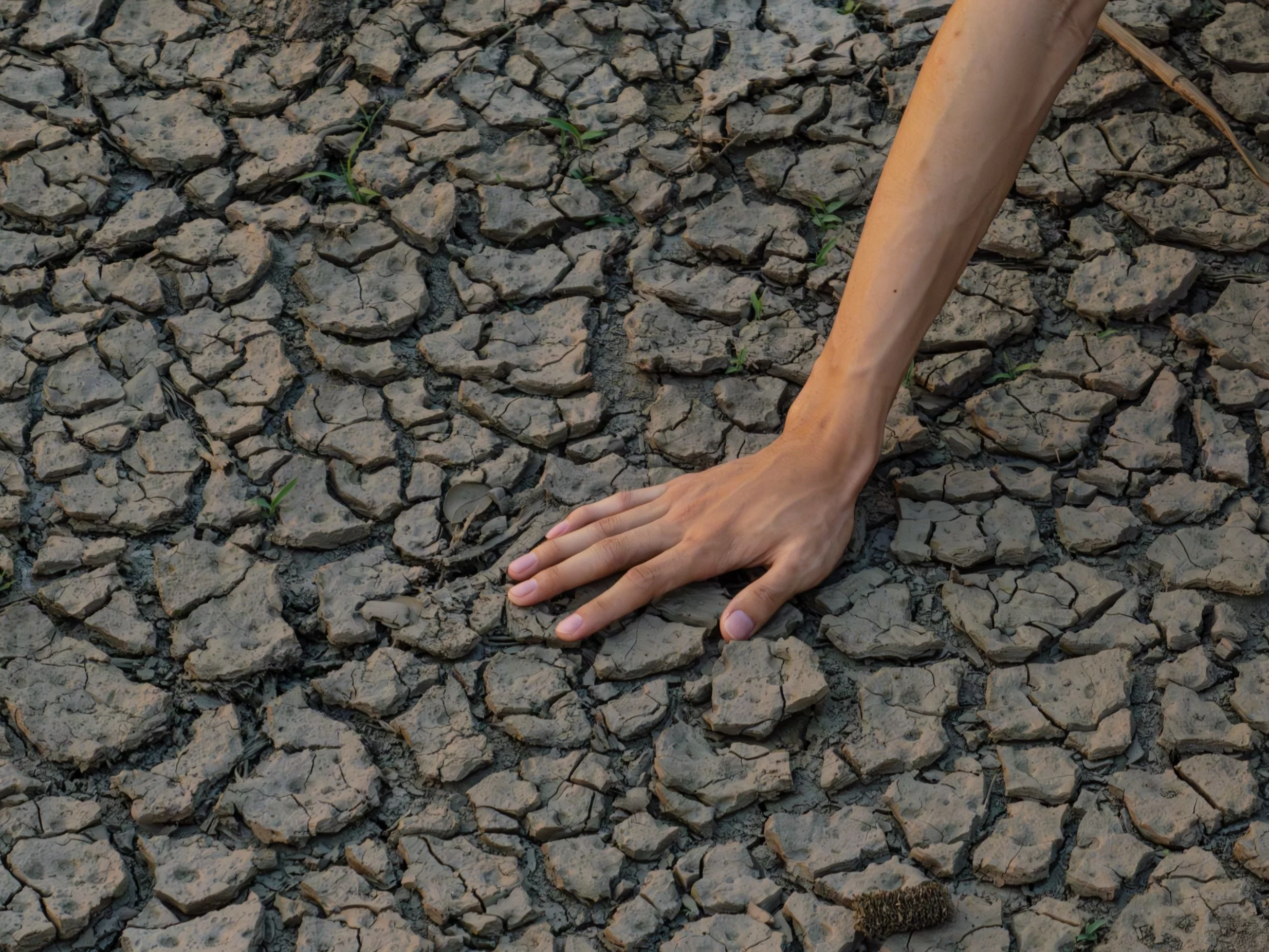 Miliony ludzi zagrożone brakiem wody. Zbliża się „Dzień Zerowy”