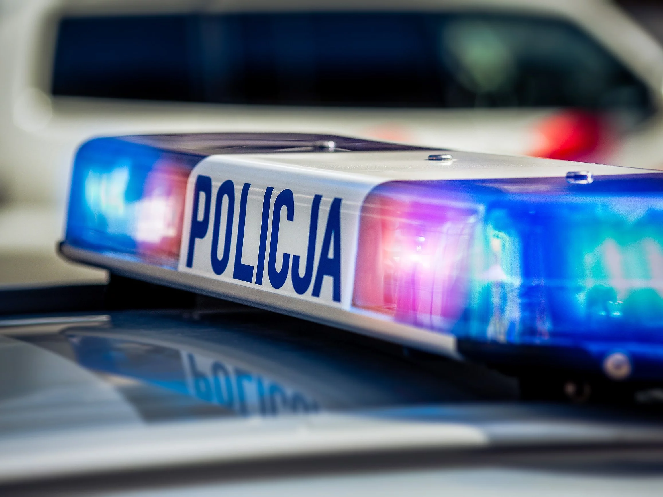 Nie żyje kierowca, którego psy pogryzły na grzybach. Były szkolone do pracy w policji? Nie żyje kierowca, którego psy pogryzły na grzybach. Były szkolone do pracy w policji?