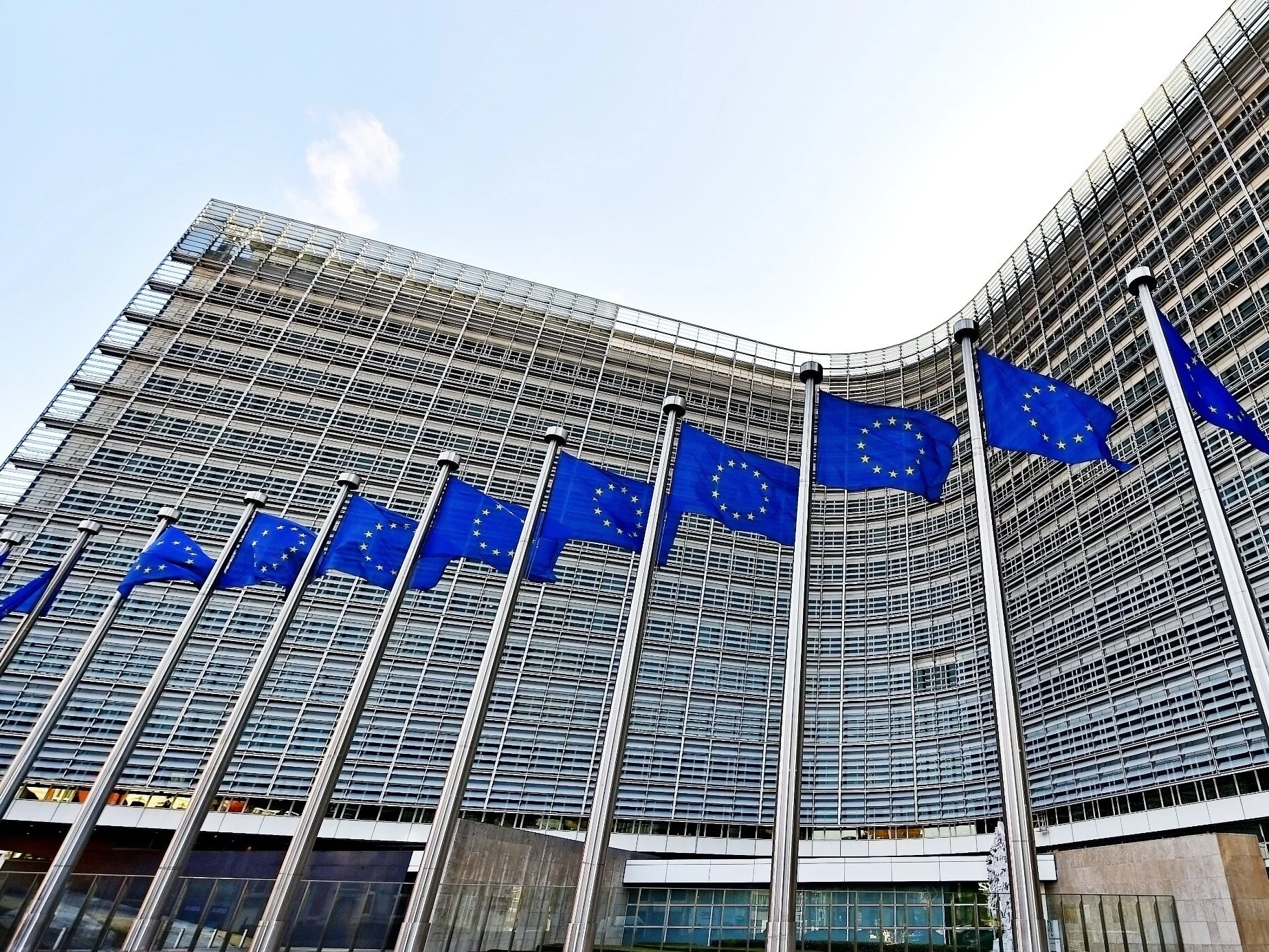 Polska osamotniona ws. umowy z Mercosur? Pośrednio winni mają być Amerykanie Polska osamotniona ws. umowy z Mercosur? Pośrednio winni mają być Amerykanie