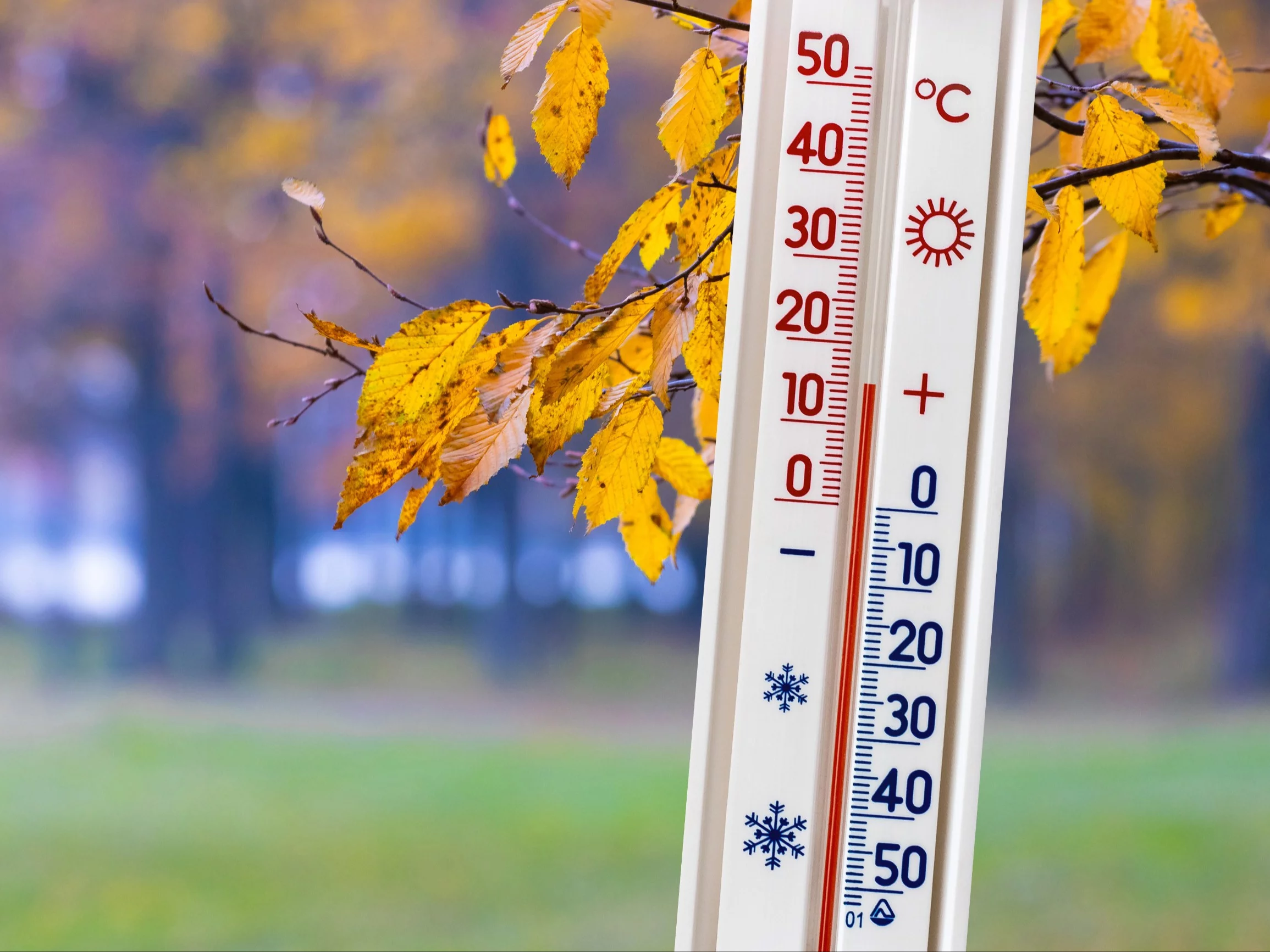 Tak rozpocznie się listopad. Meteorolodzy odsłaniają karty Tak rozpocznie się listopad. Meteorolodzy odsłaniają karty