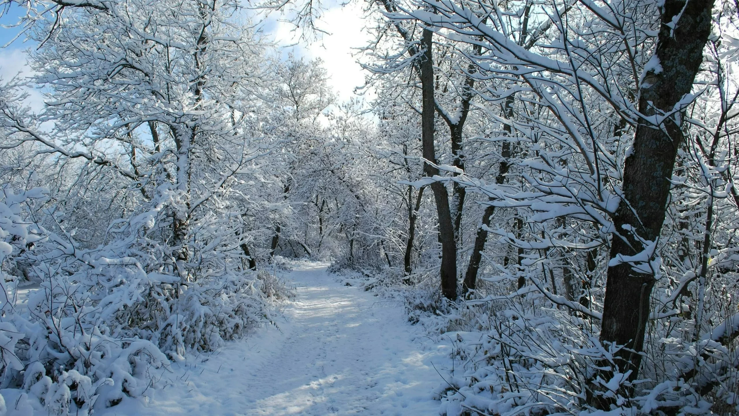 Taki będzie początek października. Nawet 7 cm pokrywy śniegu! Nowa prognoza Taki będzie początek października. Nawet 7 cm pokrywy śniegu! Nowa prognoza