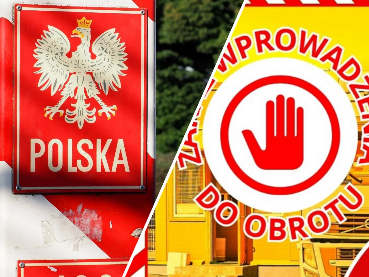 Wstrzymano transport jagód z Ukrainy. Oto co wykryli polscy kontrolerzy Wstrzymano transport jagód z Ukrainy. Oto co wykryli polscy kontrolerzy