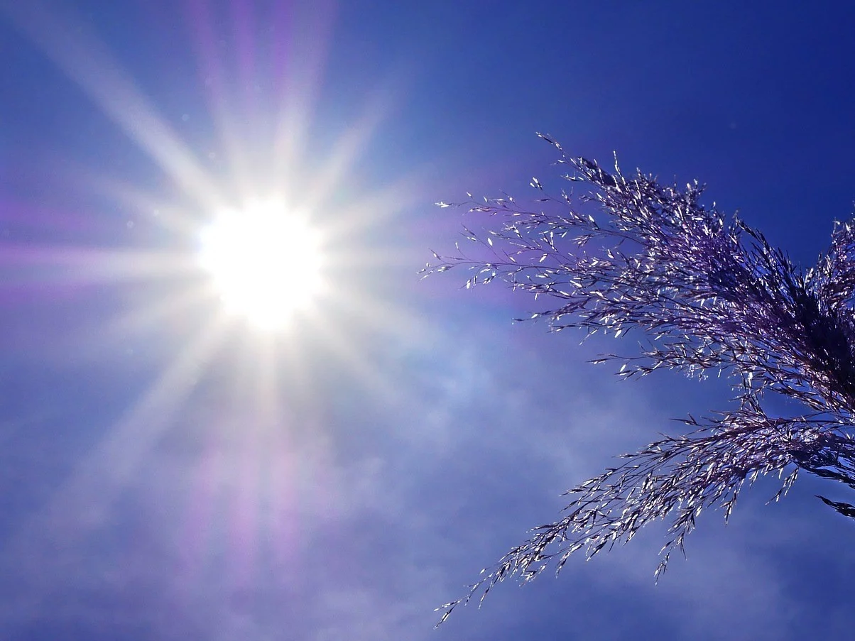 Za kilka dni zrobi się ciepło. Polacy przypomną sobie o lecie