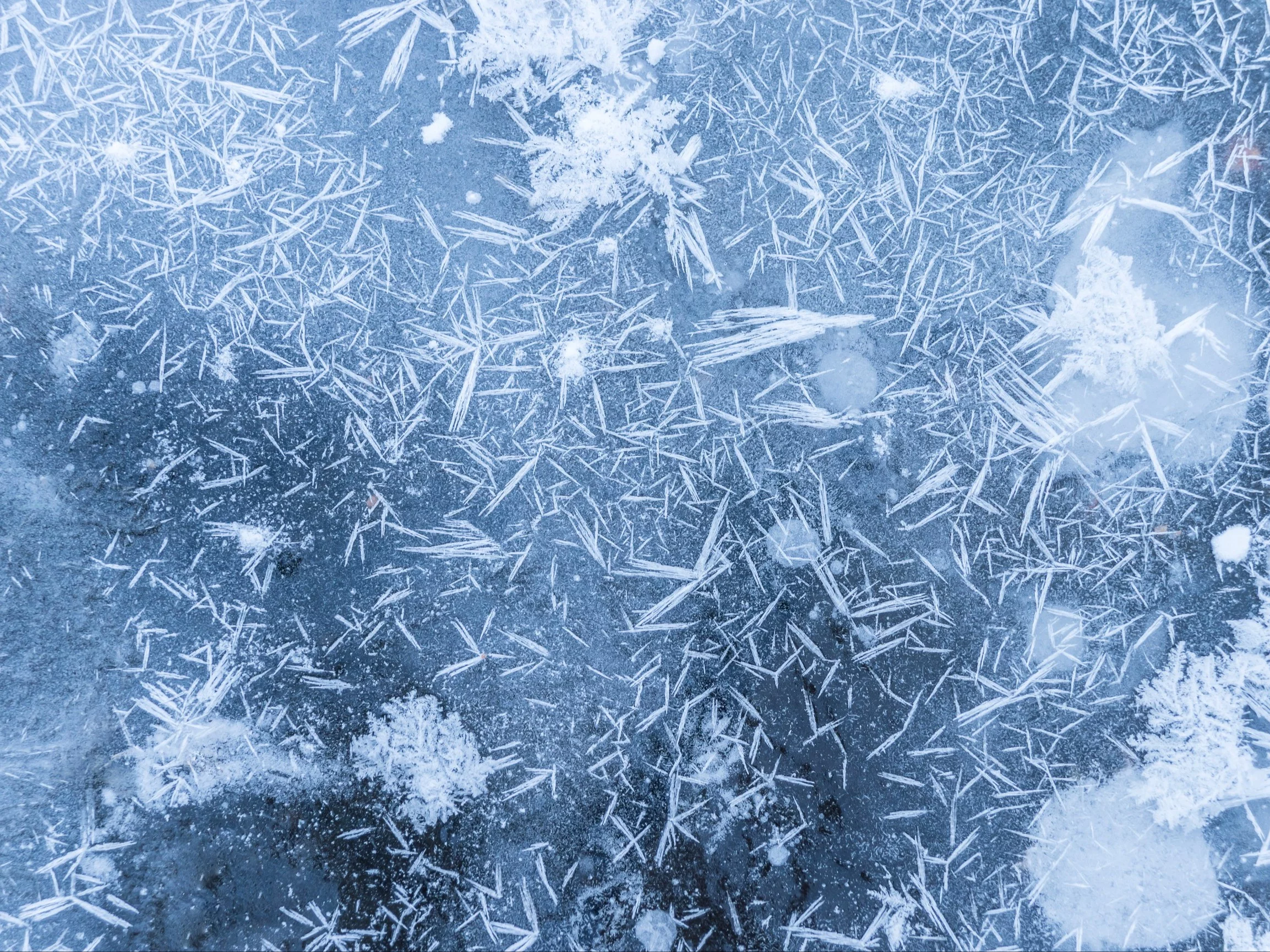 Zima stulecia w Polsce? Eksperci analizują słabnący wir polarny