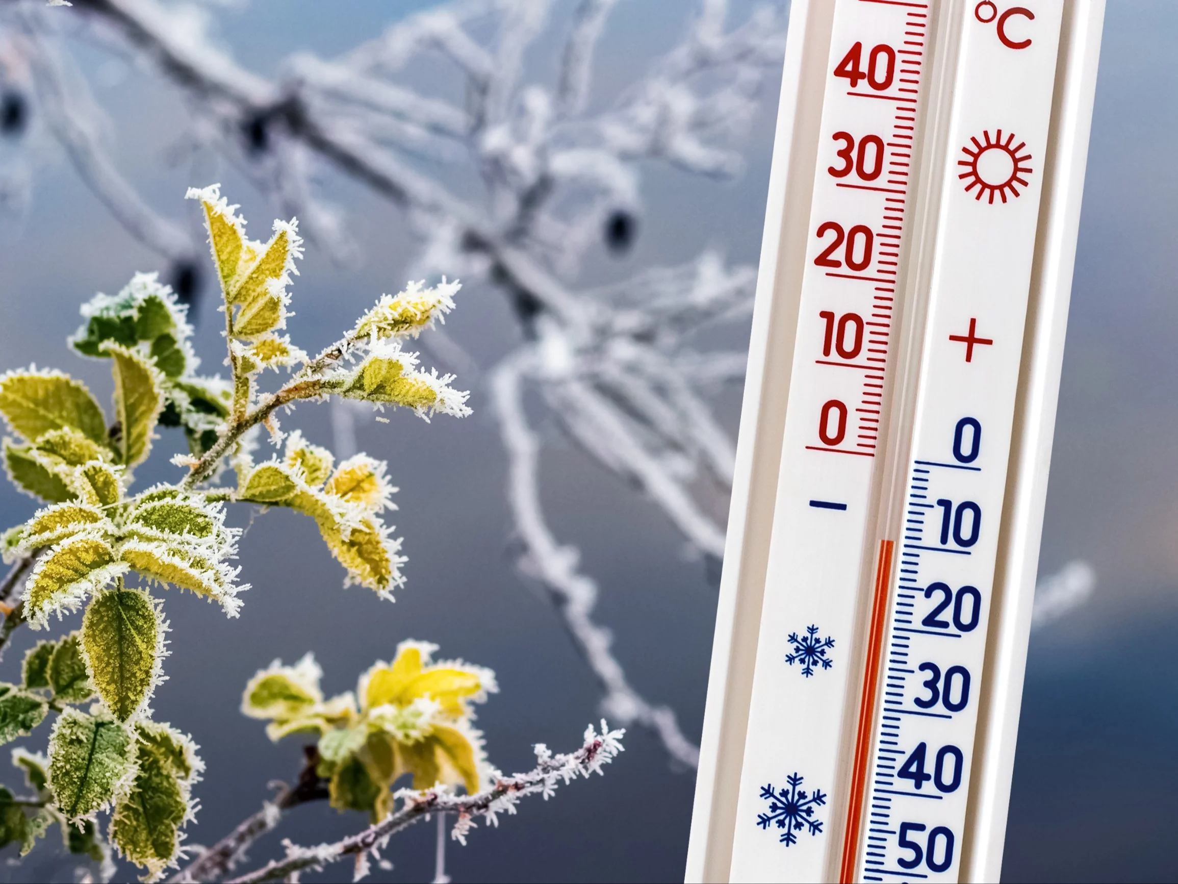 Drastyczne ochłodzenie w Polsce. Na termometrach dwucyfrowy mróz Drastyczne ochłodzenie w Polsce. Na termometrach dwucyfrowy mróz