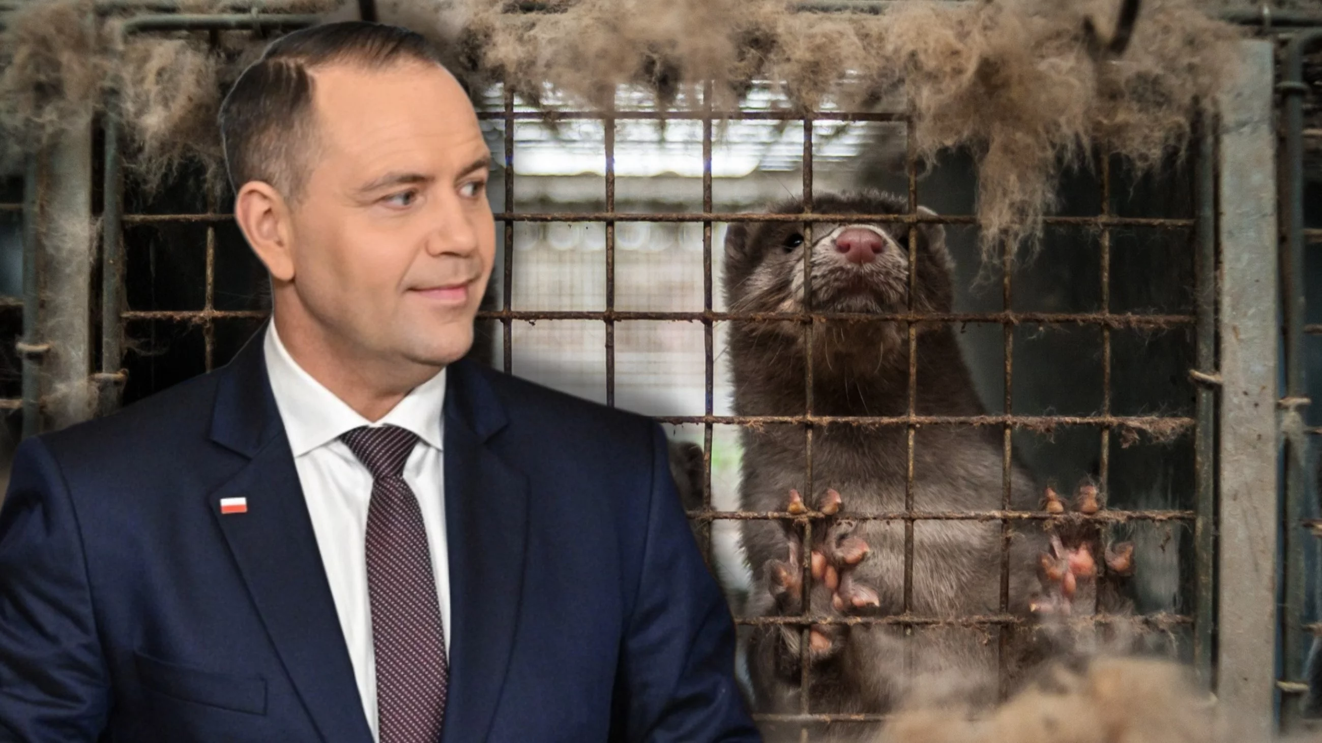 Miliony Polaków chcą podpisu pod tą ustawą. Prezydent Nawrocki pod presją